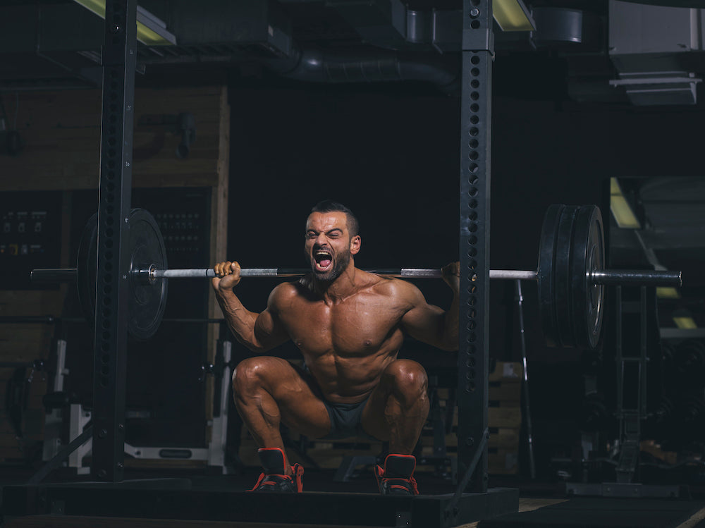 Barbell Squats